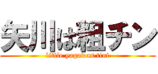 矢川は粗チン (little yagawas tint)