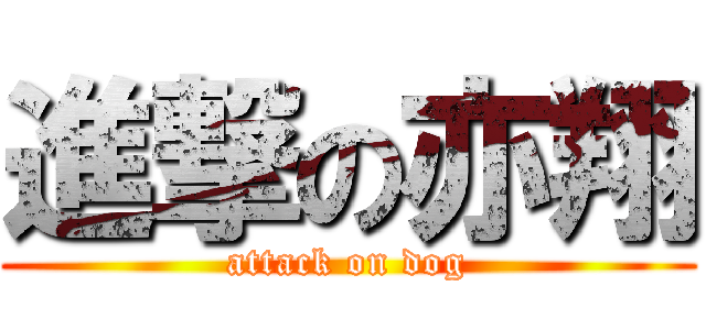 進撃の亦翔 (attack on dog)