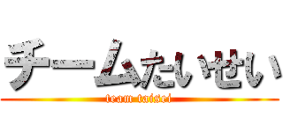 チームたいせい (team taisei)