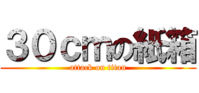 ３０ｃｍの紙箱 (attack on titan)