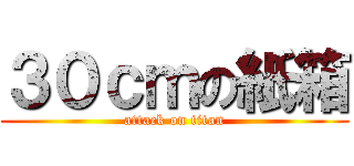 ３０ｃｍの紙箱 (attack on titan)