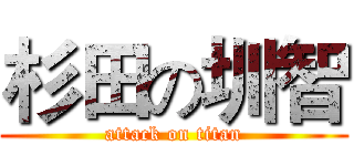 杉田の圳智 (attack on titan)