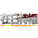 在日特権 (KoreanSpy)