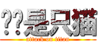 咕咕是只猫 (attack on titan)