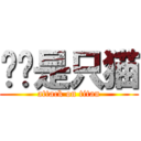 咕咕是只猫 (attack on titan)