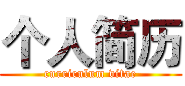 个人简历 (curriculum vitae)