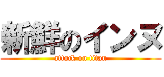 新鮮のインヌ (attack on titan)