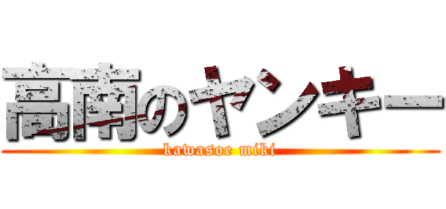 高南のヤンキー (kawasoe miki)
