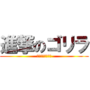 進撃のゴリラ (ゴリラ＝武藤太平)