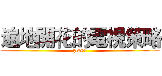 遍地開花的電視策略 (plus+)