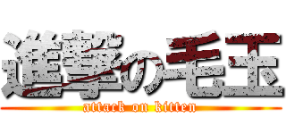 進撃の毛玉 (attack on kitten)