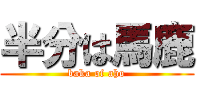 半分は馬鹿 (baka of aho)