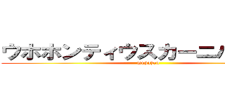 ウホホンティウスカーニバル開催 (wuhohon)