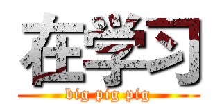 在学习 (big pig pig)