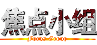 焦点小组 (Focus Group)