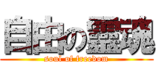 自由の靈魂 (soul of freedom)