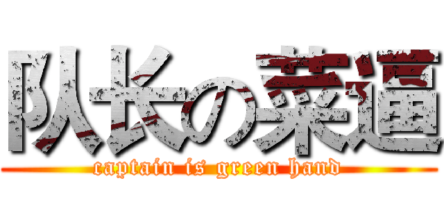 队长の菜逼 (captain is green hand)