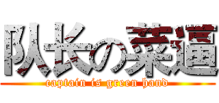 队长の菜逼 (captain is green hand)