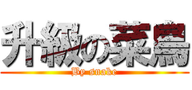 升級の菜鳥 (By snake)