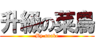 升級の菜鳥 (By snake)