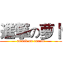 進撃の萝卜 (attack on carrot)