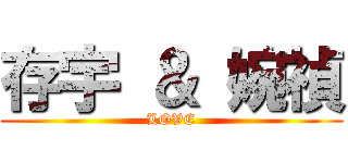 存宇 ＆ 婉禎 (LOVE)