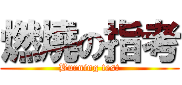 燃燒の指考 (Burning test)