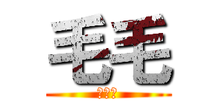 毛毛 (實況台)