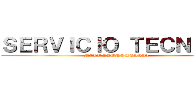 ＳＥＲＶＩＣＩＯ ＴＥＣＮＩＣＯ (NERV PHONE HUARAL)