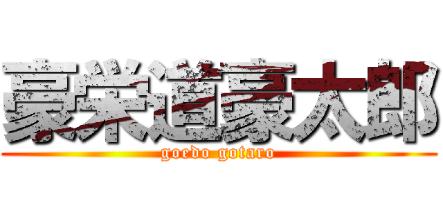 豪栄道豪太郎 (goedo gotaro)