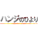 ハンジのひより ( hiyori of hanji)