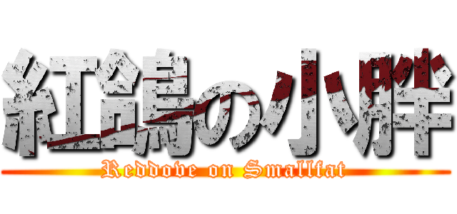 紅鴿の小胖 (Reddove on Smallfat)