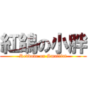 紅鴿の小胖 (Reddove on Smallfat)