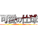 可愛の仕球 (仕球 超 可愛)