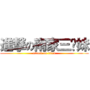 進撃の南家三姊妹 (attack on titan)