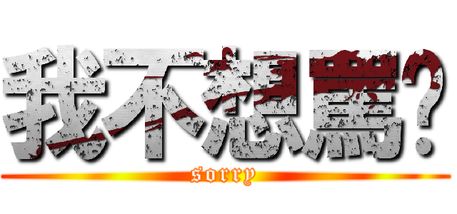 我不想罵你 (sorry)