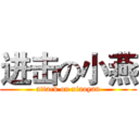 进击の小燕 (attack on xiaoyan)