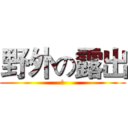 野外の露出 (我)