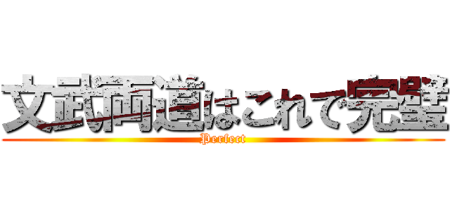 文武両道はこれで完璧 (Perfect)