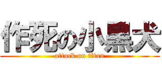 作死の小黑犬 (attack on titan)