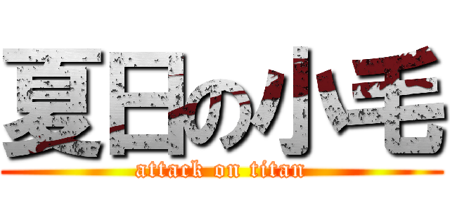 夏日の小毛 (attack on titan)