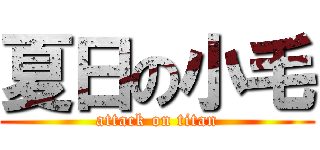 夏日の小毛 (attack on titan)