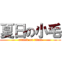 夏日の小毛 (attack on titan)