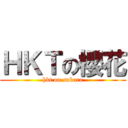 ＨＫＴの櫻花 (hkt on sakura)