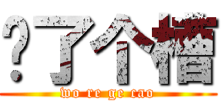 卧了个槽 (wo re ge cao)