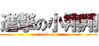 進撃の小翔翔 (attack on 翔翔 )