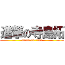 進撃の寺島拓 (attack on titan)