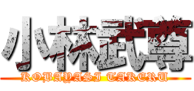 小林武尊 (KOBAYASI TAKERU)