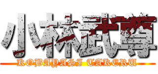 小林武尊 (KOBAYASI TAKERU)