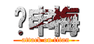 吳申梅 (attack on titan)